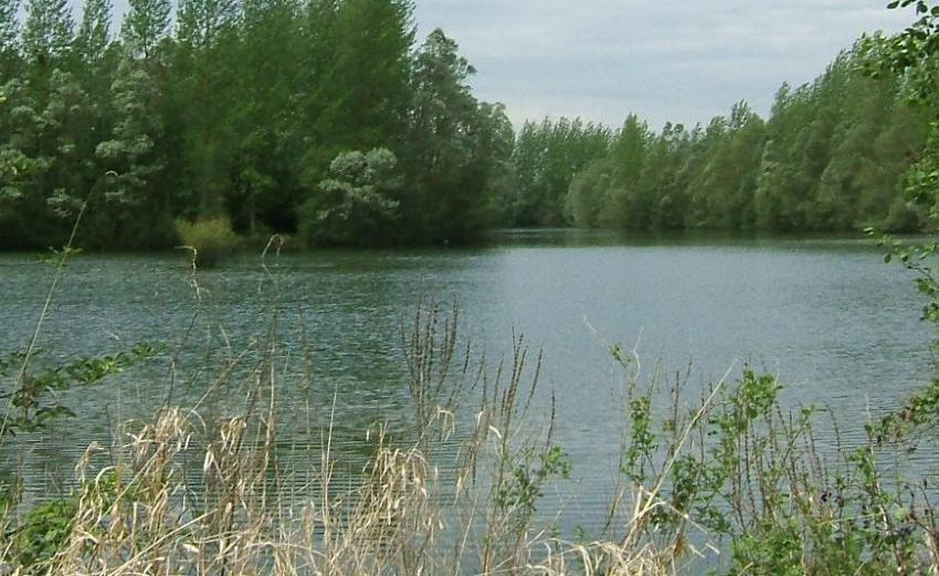 Postes De Pêche à Louer Dans Laisne Forêt Investissement