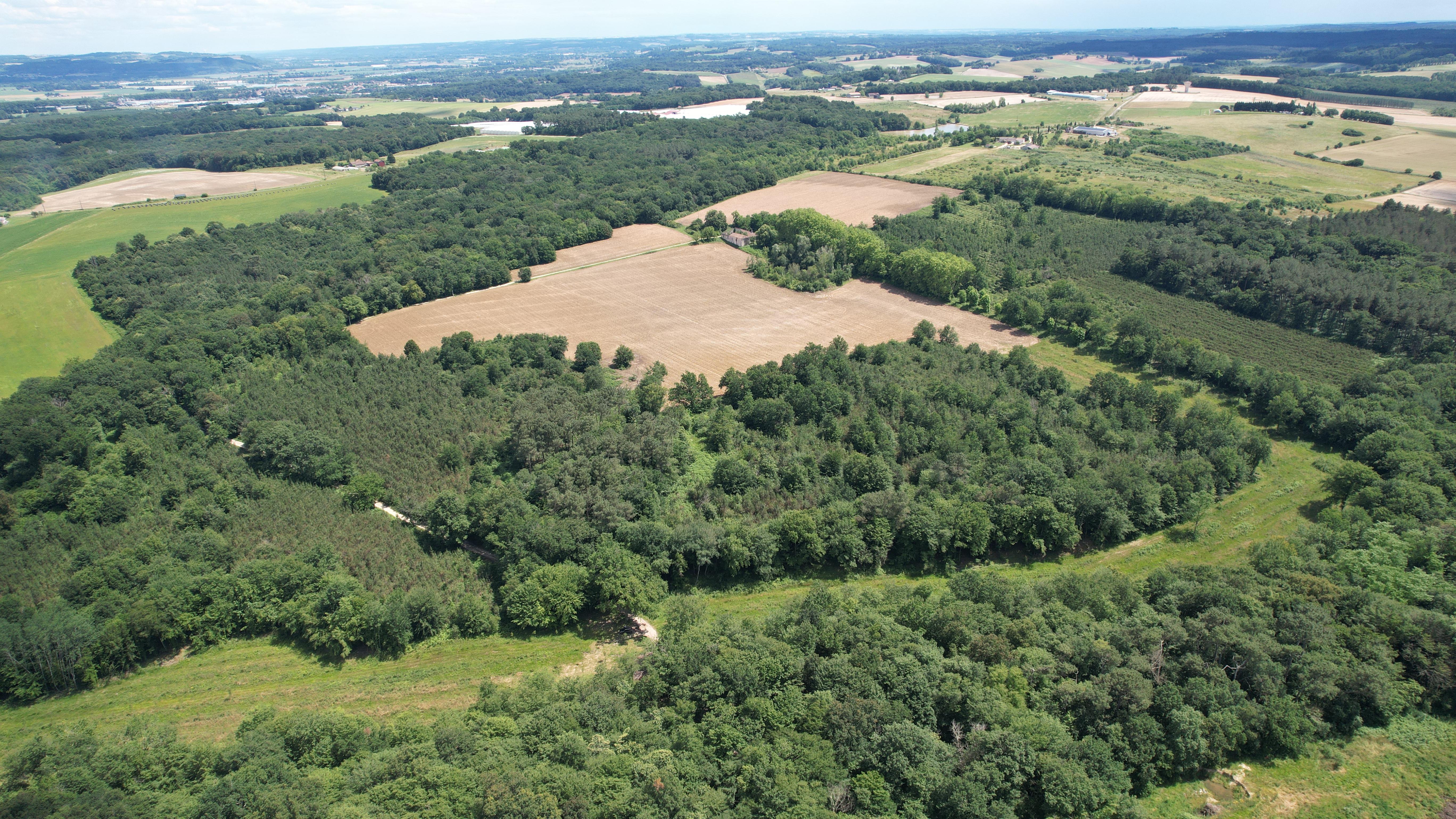 Propriété forestière dans le Lot-et-Garonne