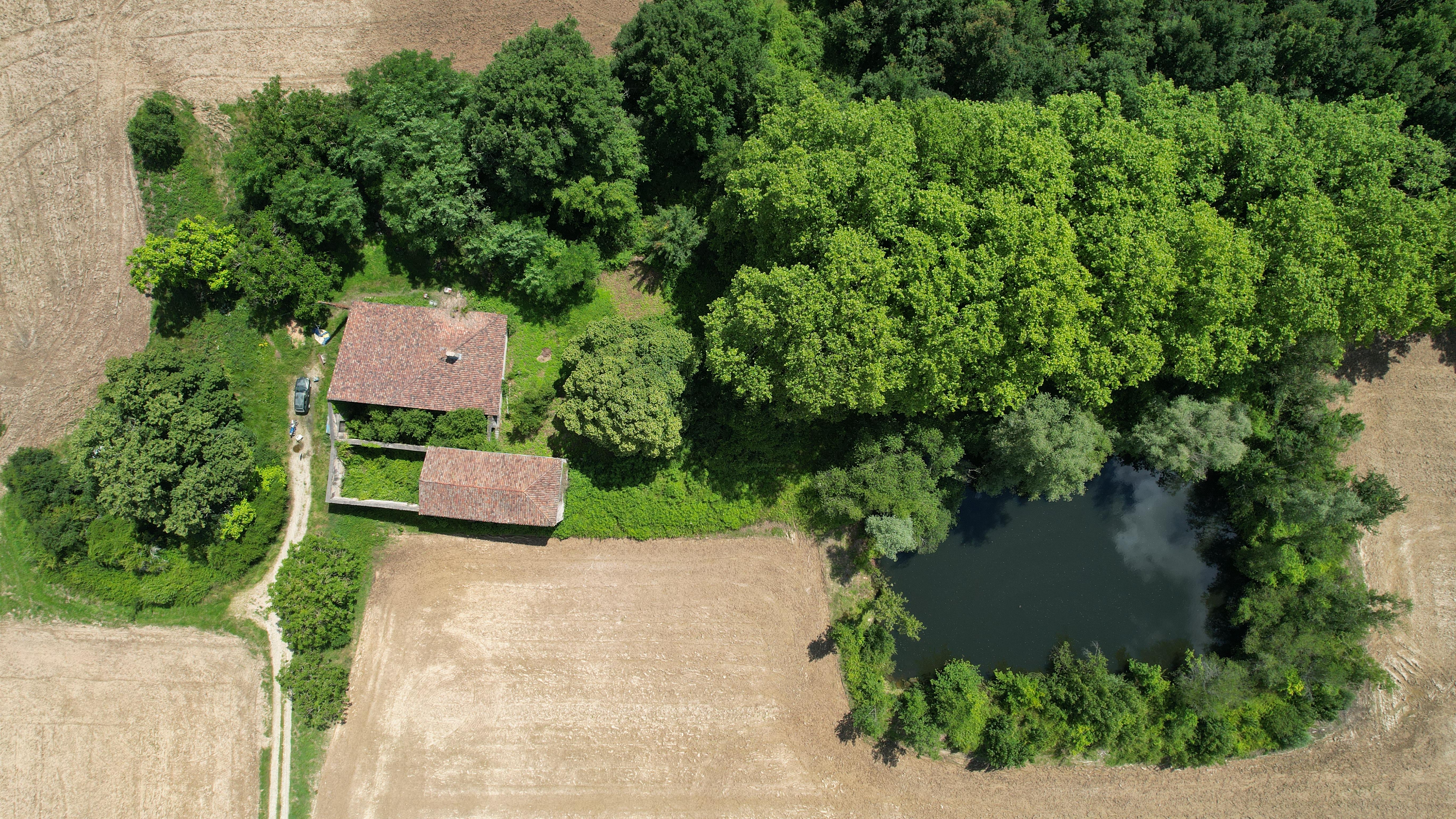 Propriété forestière dans le Lot-et-Garonne