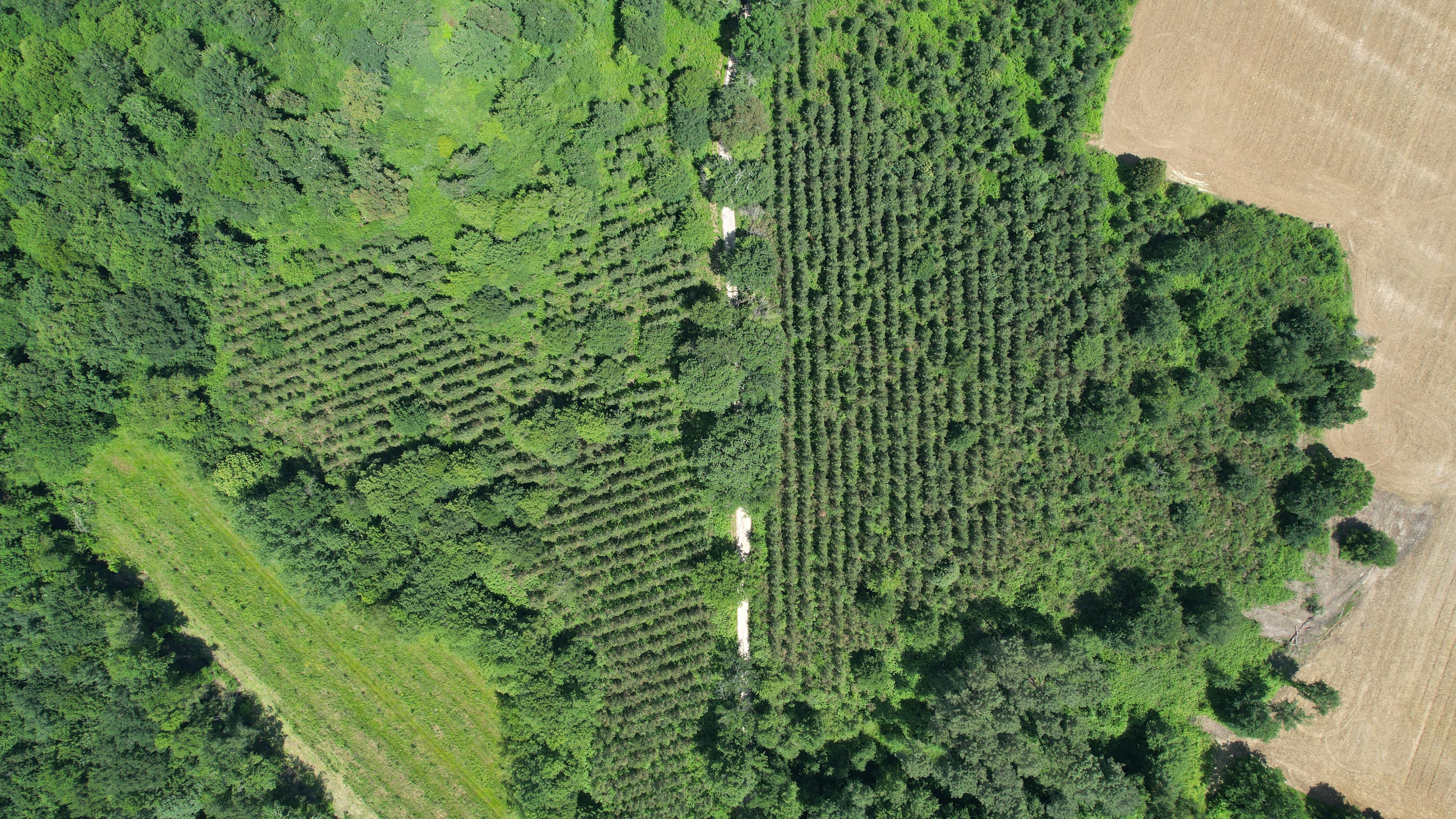 Propriété forestière dans le Lot-et-Garonne