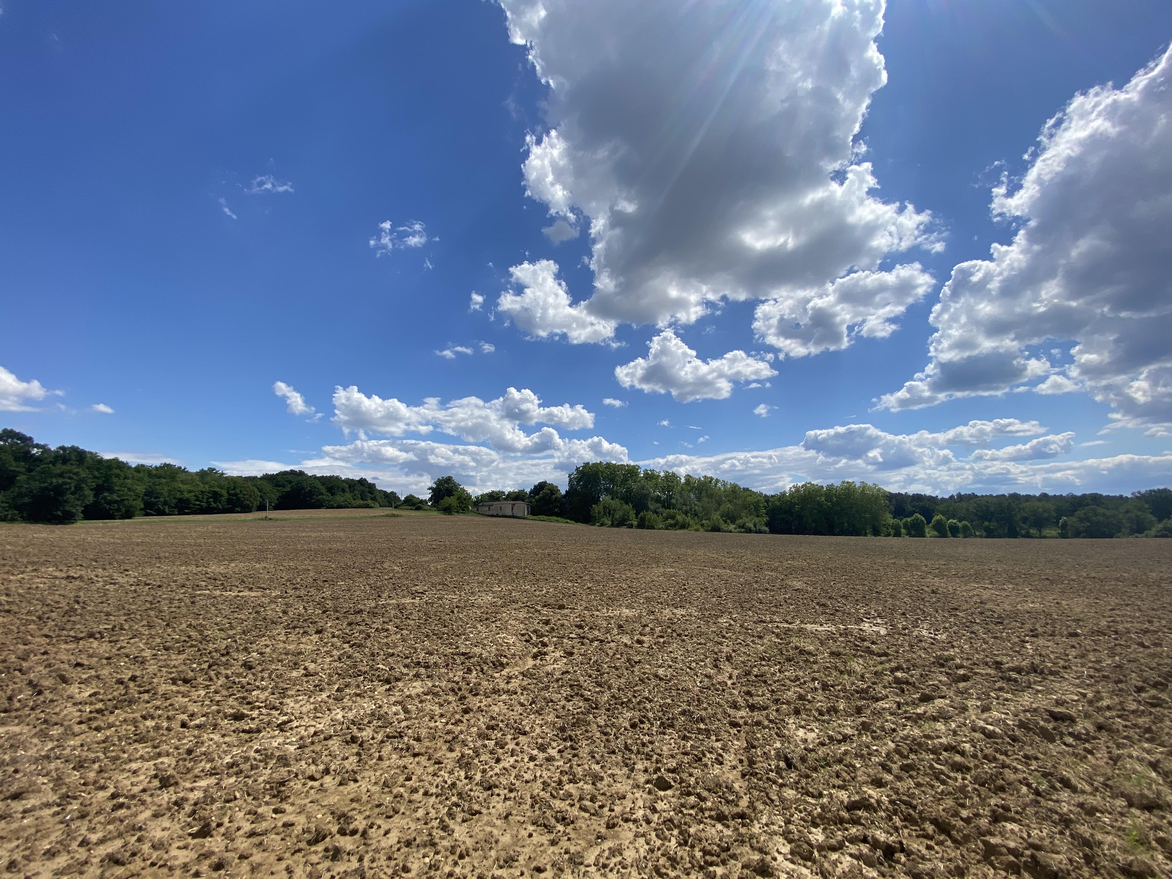 Propriété forestière dans le Lot-et-Garonne