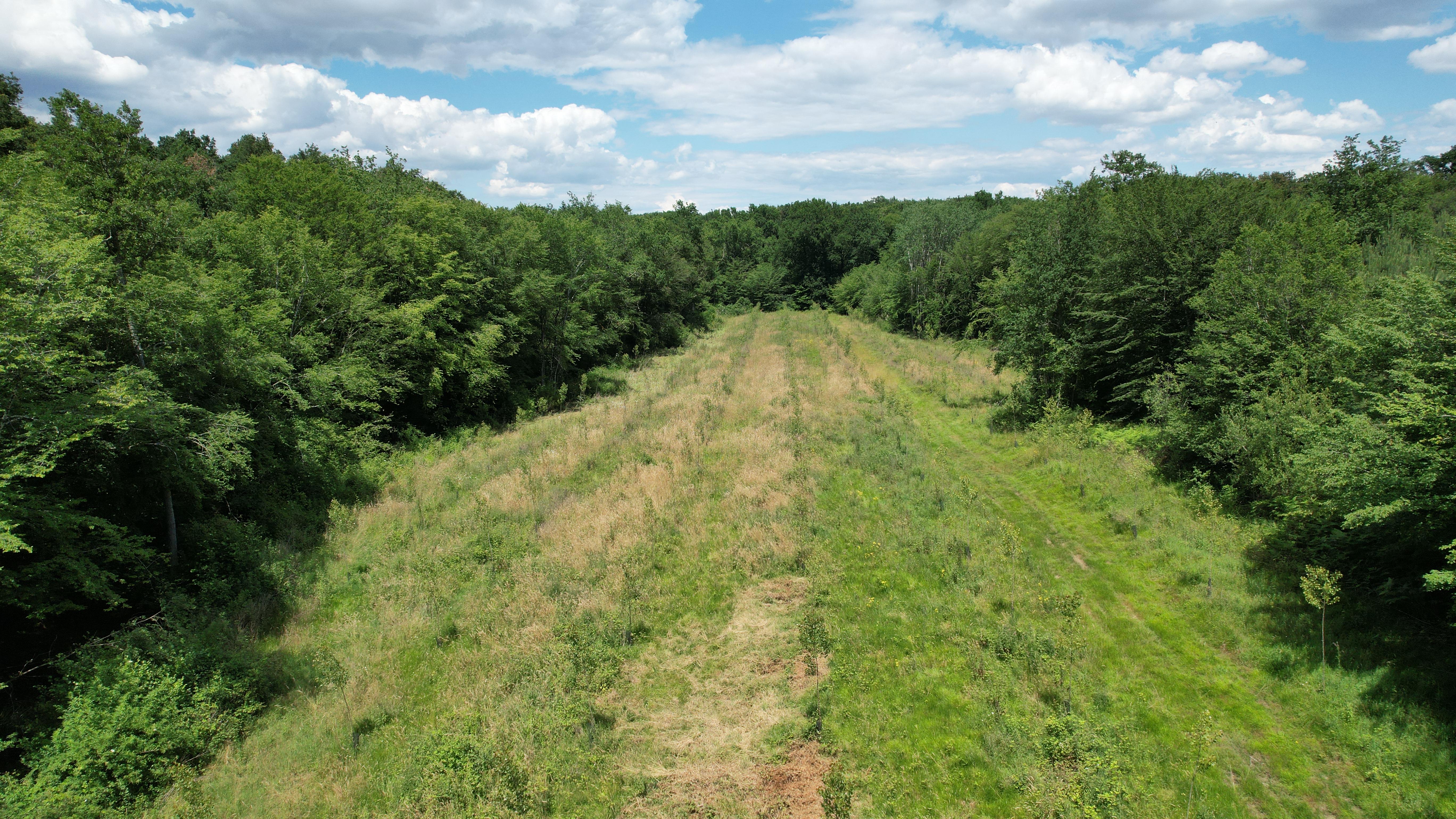 Propriété forestière dans le Lot-et-Garonne