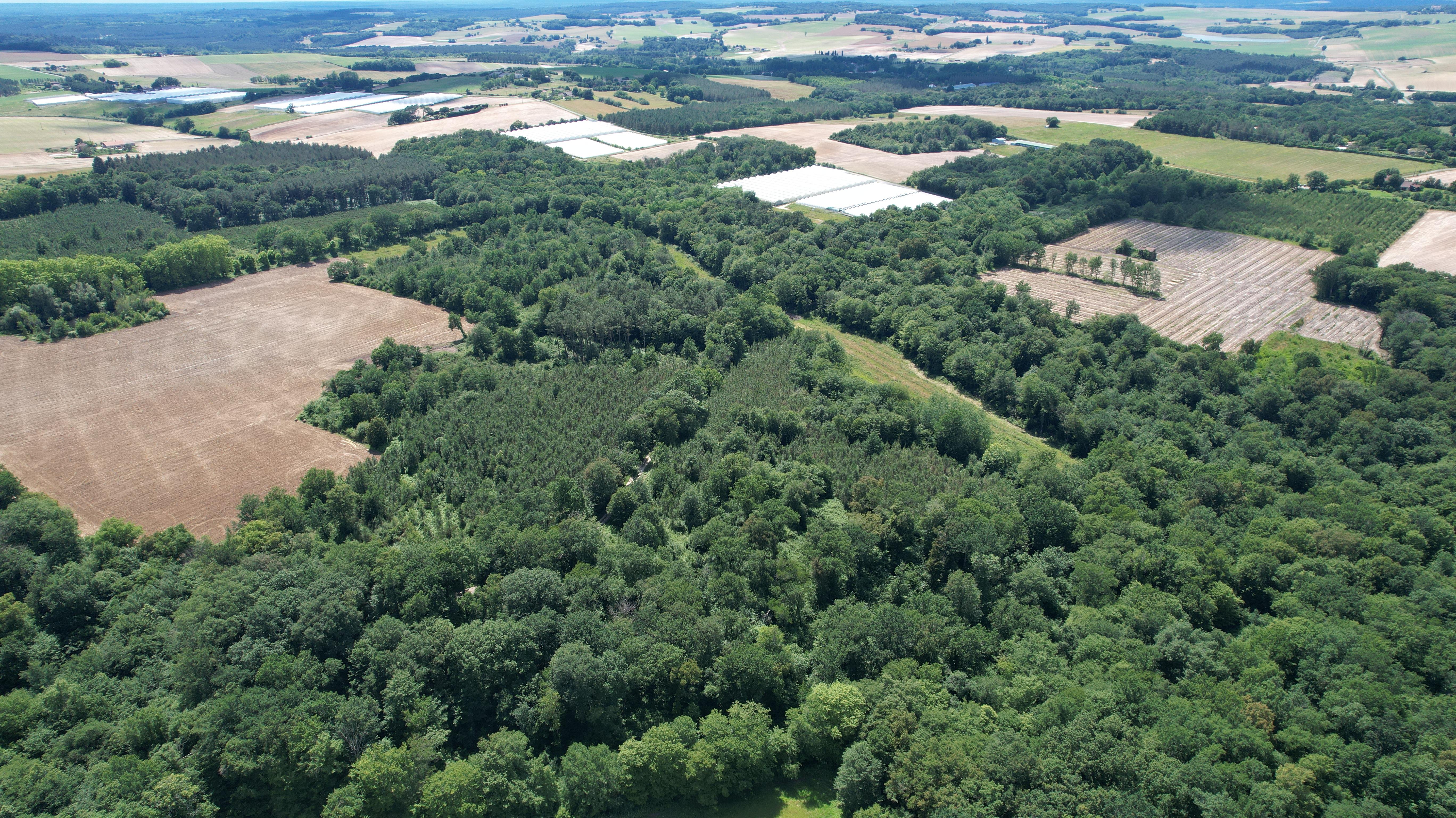 Propriété forestière dans le Lot-et-Garonne